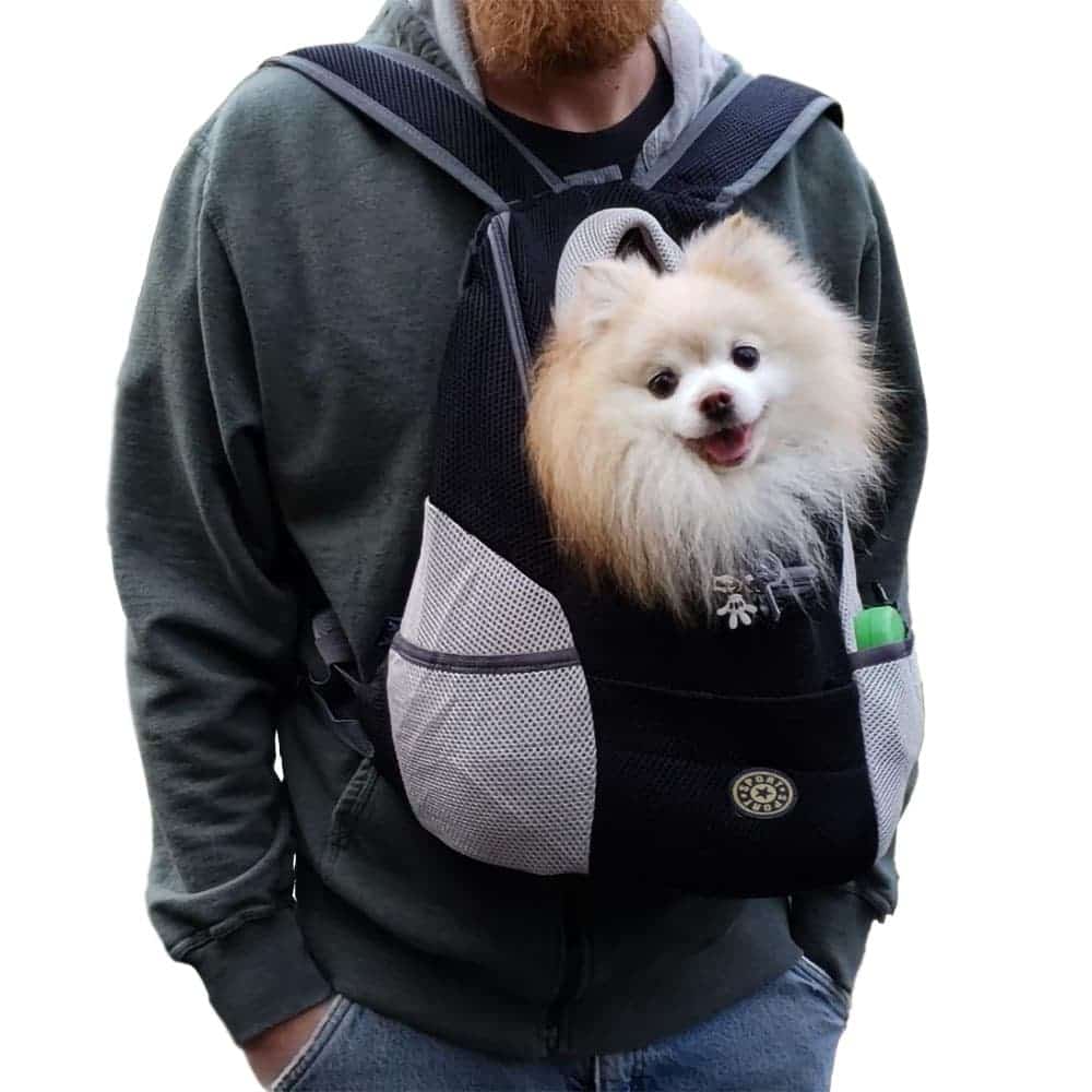 Dog Carrier Backpack Oxford Polyester Breathable Mesh S M L Up to 8kg Safety Leash Padded Hiking Travel Pet Bag | Koossa