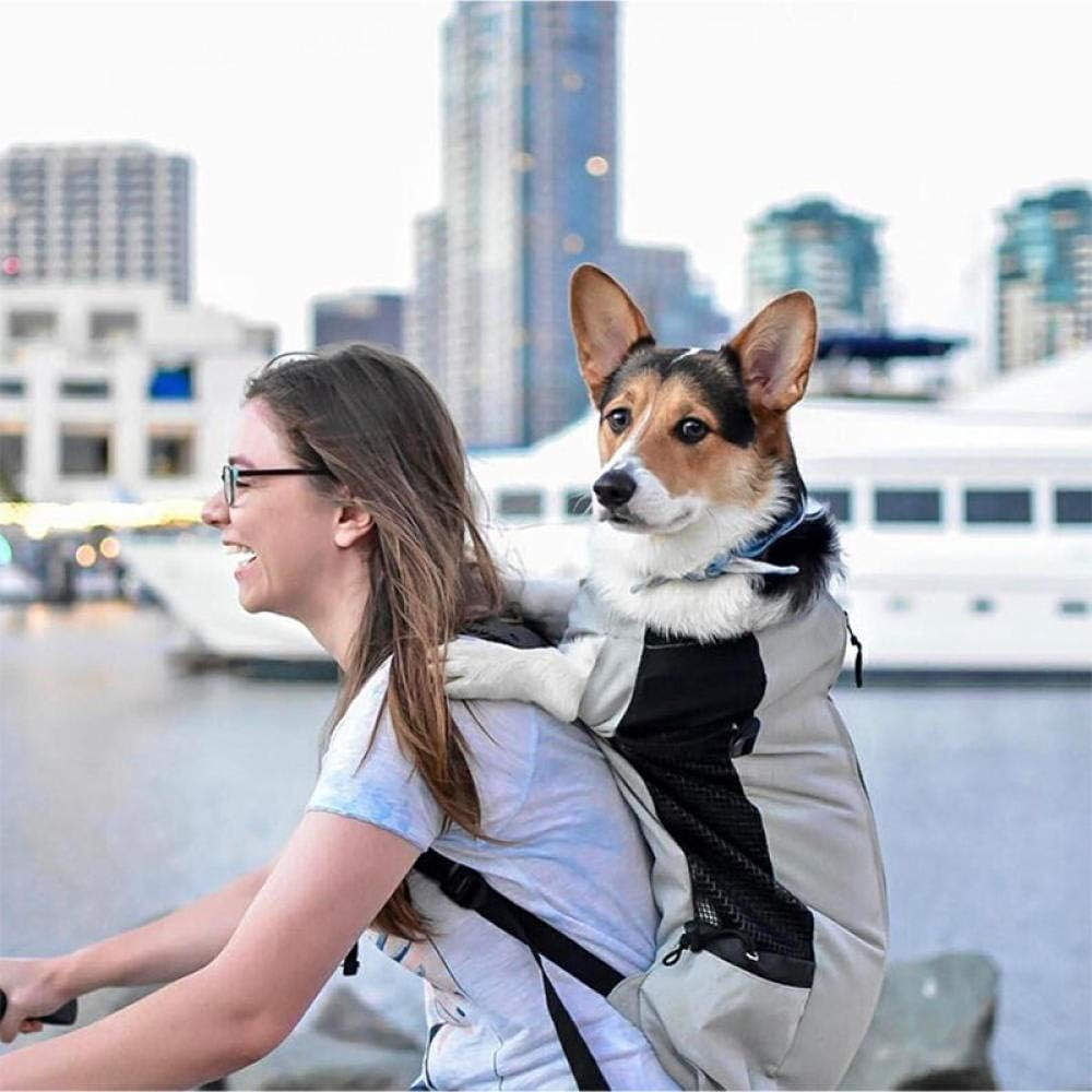 Dog Hiking Backpack 600D Oxford Mesh M L Up to 18kg Reflective Safety Leash Padded Straps Outdoor Carrier Travel | Koossa