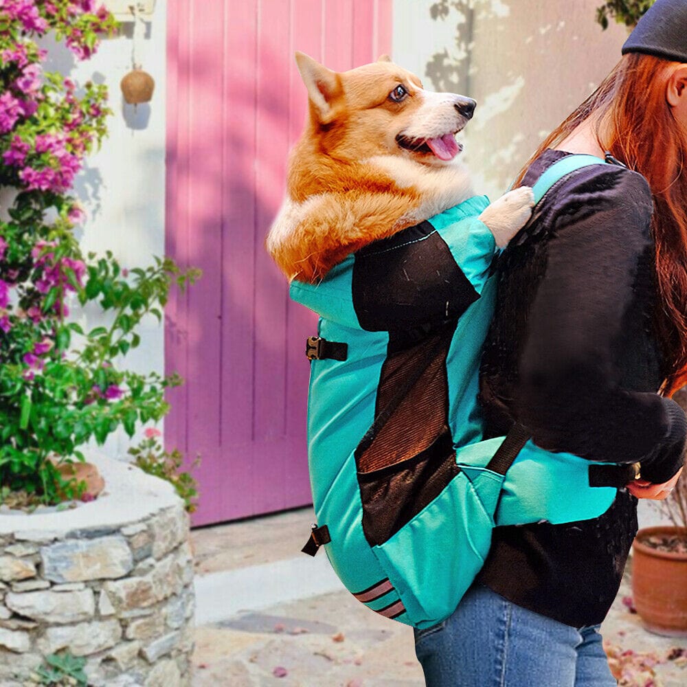 Dog Hiking Backpack 600D Oxford Mesh M L Up to 18kg Reflective Safety Leash Padded Straps Outdoor Carrier Travel | Koossa