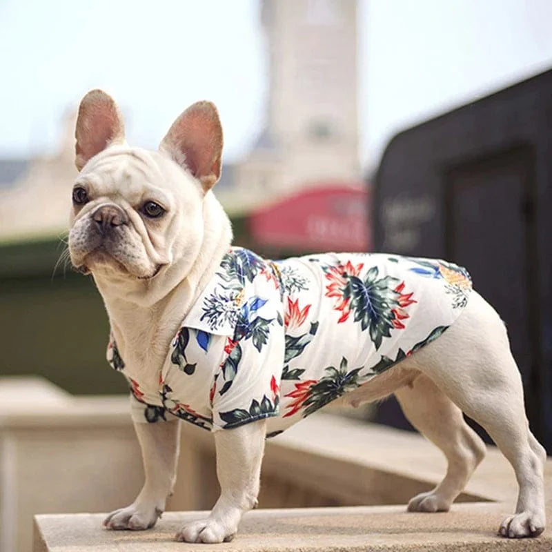 Dog Hawaiian Shirt Lightweight Breathable Tropical Print Button-Down Short Sleeve Summer Dog Top XS–XL Beach Holiday | Koossa
