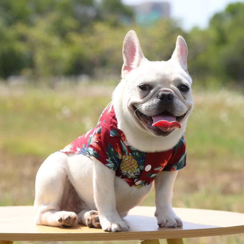 Dog Hawaiian Shirt Lightweight Breathable Tropical Print Button-Down Short Sleeve Summer Dog Top XS–XL Beach Holiday | Koossa