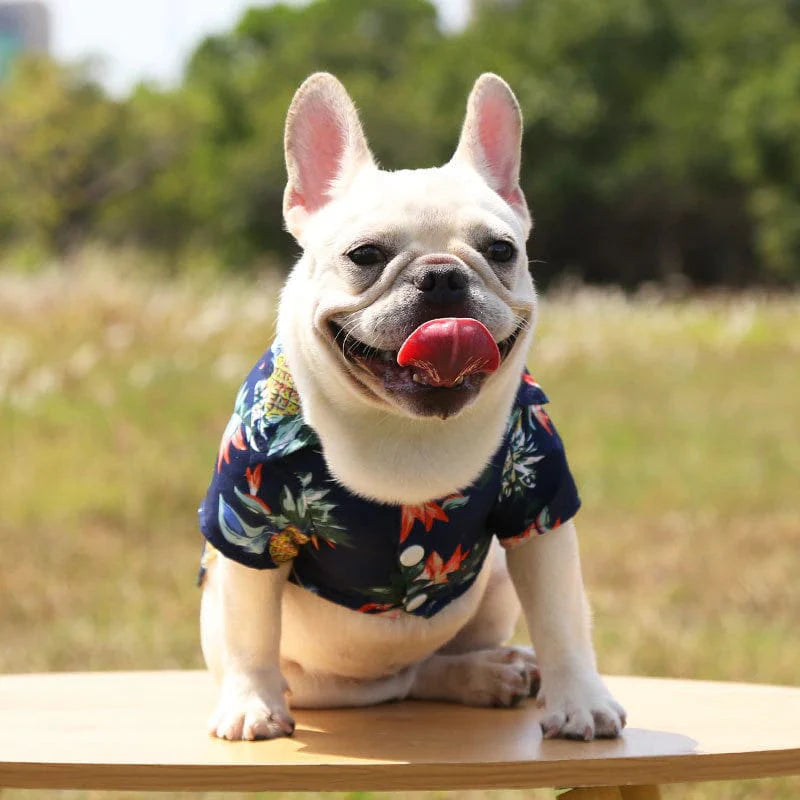 Dog Hawaiian Shirt Lightweight Breathable Tropical Print Button-Down Short Sleeve Summer Dog Top XS–XL Beach Holiday | Koossa