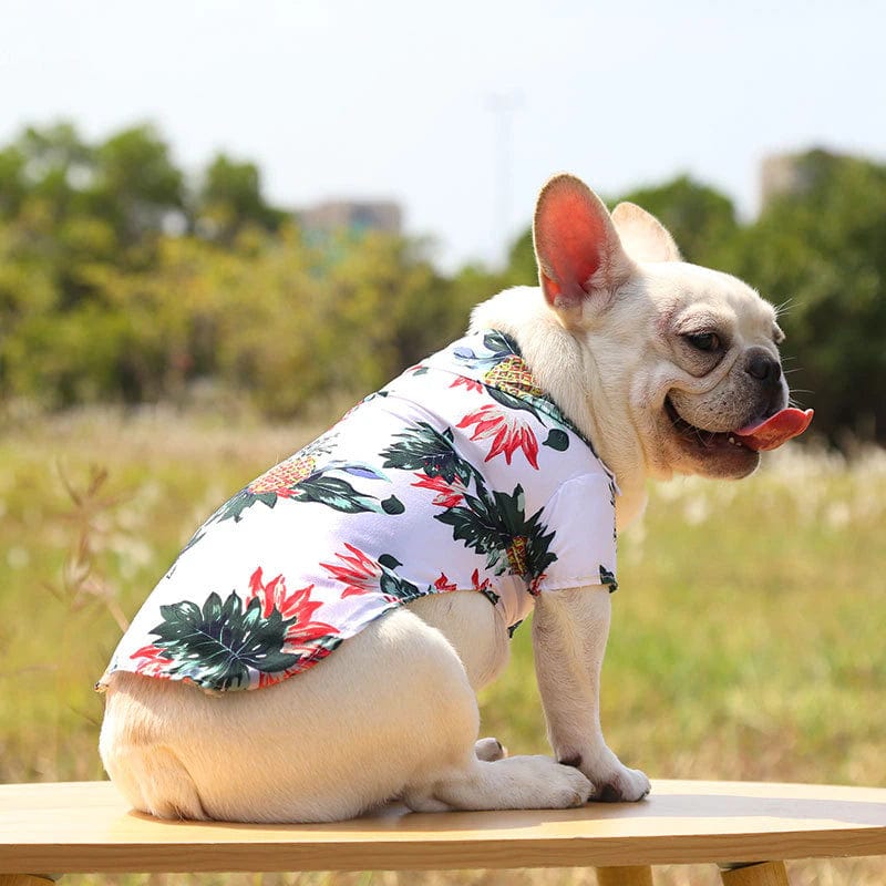 Dog Hawaiian Shirt Lightweight Breathable Tropical Print Button-Down Short Sleeve Summer Dog Top XS–XL Beach Holiday | Koossa