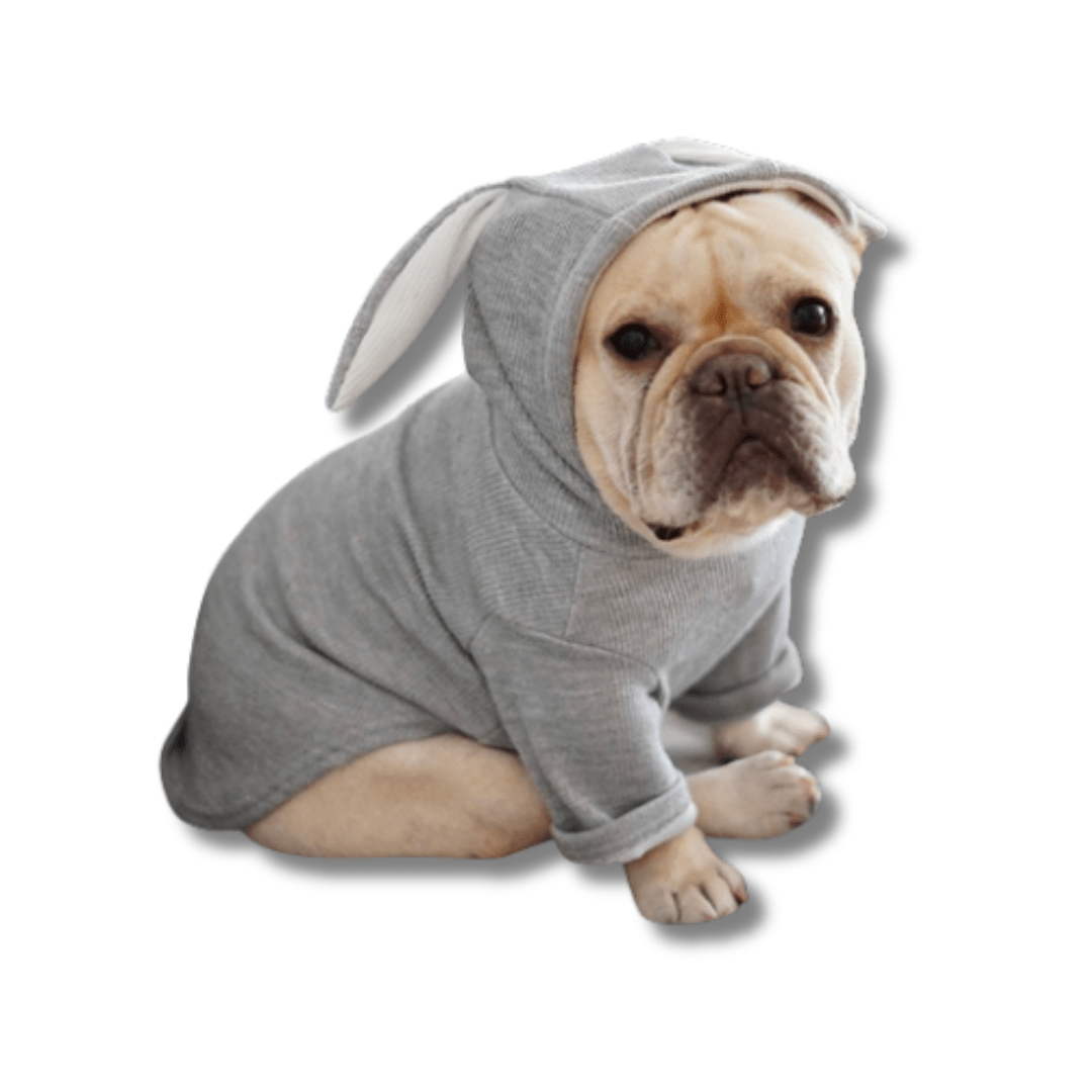 Dog Bunny Hoodie Soft Fleece Rabbit Ear Hood XS–XL Small Medium Dog Jumper Cosy Indoor Outdoor Costume Pink Grey | Koossa