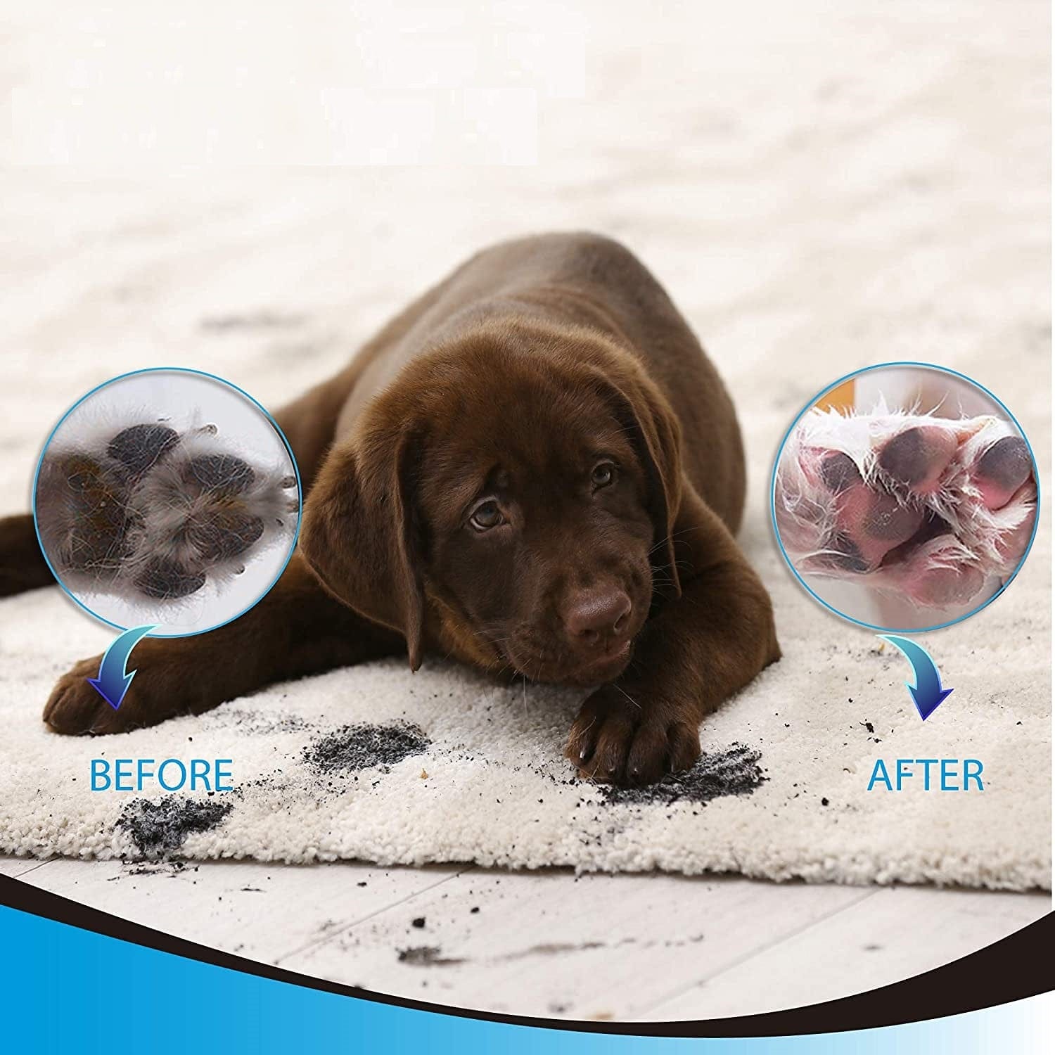 Dog Paw Cleaner Silicone Bristles Portable 11cm 15cm Muddy Paw Washer Travel Cup Small Large Twist Clean Indoor | Koossa