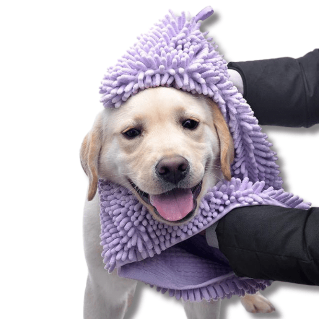 Dog Towel Microfibre Mitten Design Super Absorbent S M L Bath Drying Glove Pet Towel Machine Washable Mud Paw | Koossa
