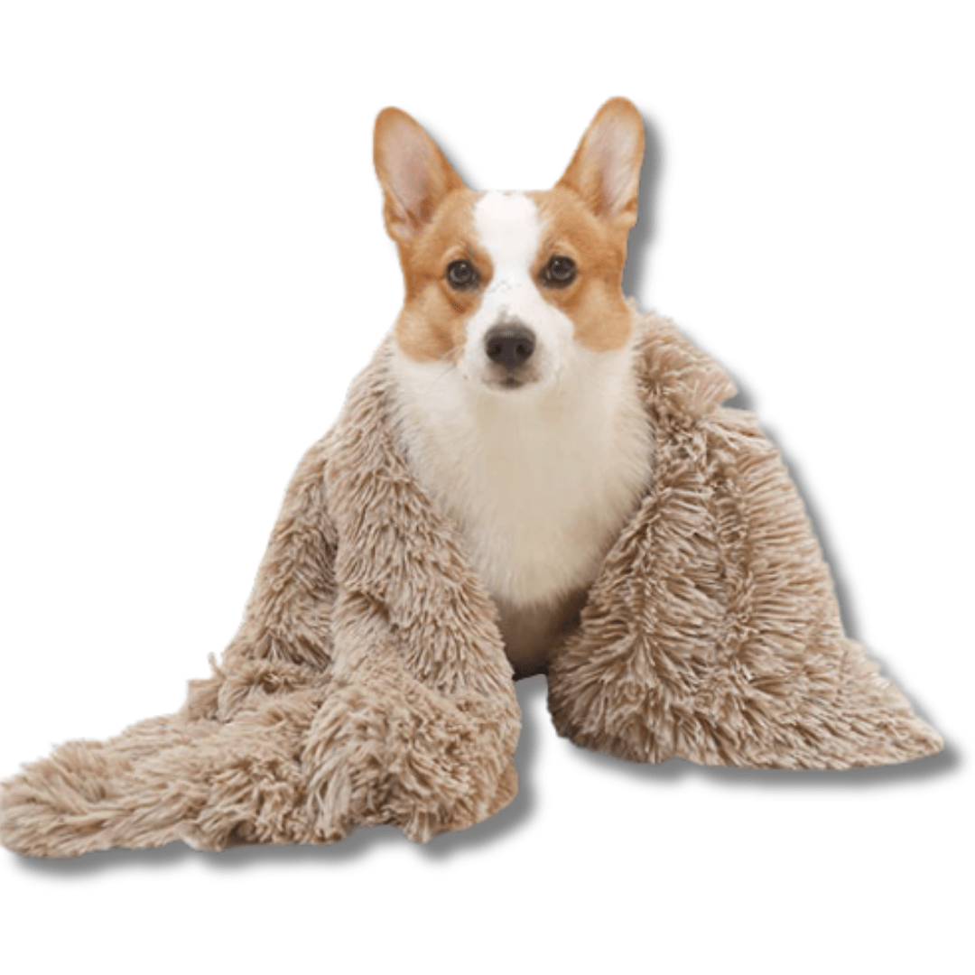 Pet Blanket Faux Fur Plush Soft Washable Dog Cat Blanket Calming Snuggle Throw Sofa Car Seat Furniture Cover Neutral | Koossa