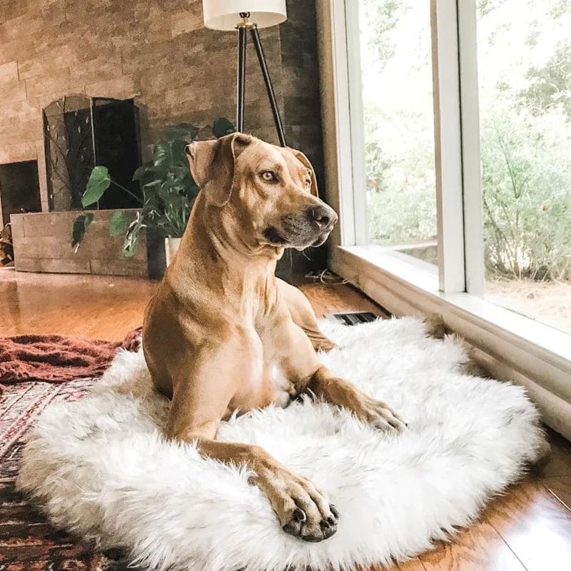 Dog Fluffy Mat Faux Fur Hypoallergenic Memory Foam S M L XL Orthopedic Anti-Anxiety Washable Dog Rug Calming Bed | Koossa Dog Fluffy Mat Faux Fur Hypoallergenic Memory Foam S M L XL Orthopedic Anti-Anxiety Washable Dog Rug Calming Bed | Koossa