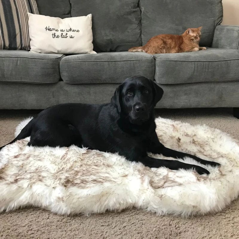Dog Fluffy Mat Faux Fur Hypoallergenic Memory Foam S M L XL Orthopedic Anti-Anxiety Washable Dog Rug Calming Bed | Koossa Dog Fluffy Mat Faux Fur Hypoallergenic Memory Foam S M L XL Orthopedic Anti-Anxiety Washable Dog Rug Calming Bed | Koossa