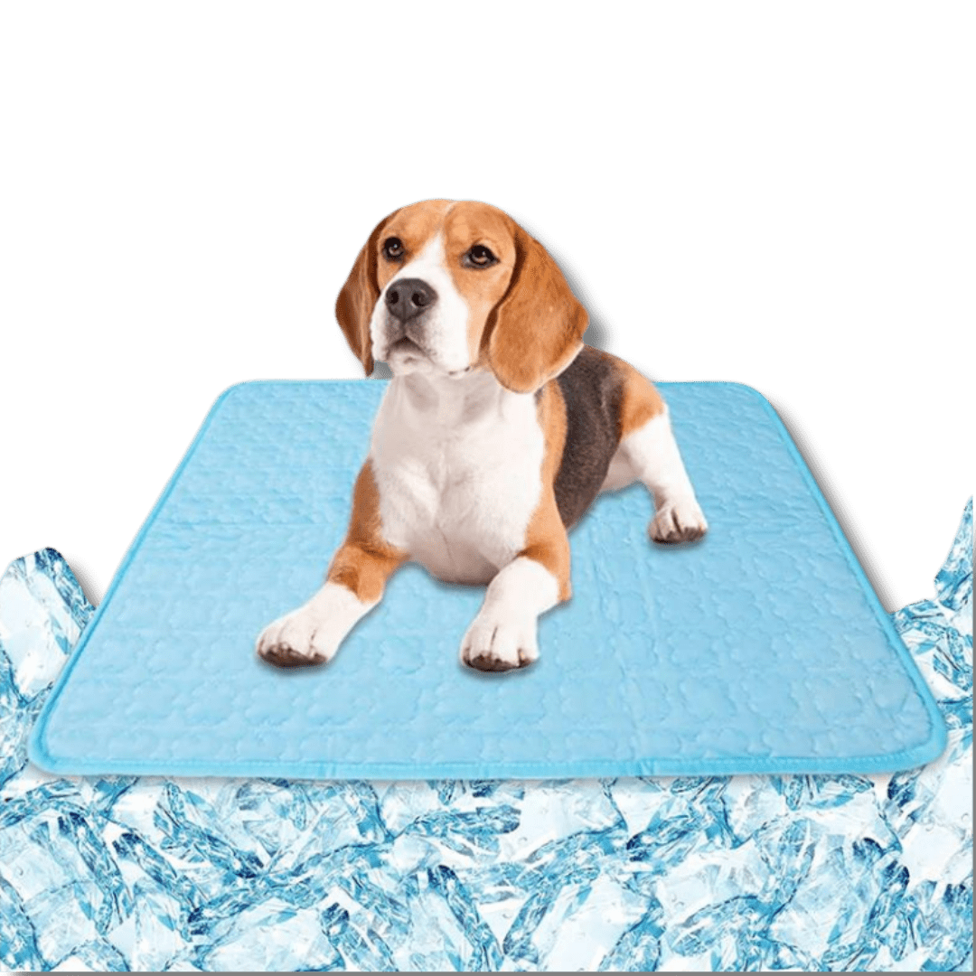 Pet Cooling Mat Pressure Activated Self-Cooling Gel Pad Dog Cat Cool Mat Summer Heat Relief Indoor Outdoor Small Medium Large | Koossa