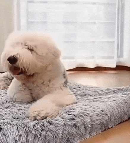 Dog Orthopaedic Bed Faux Fur Plush Memory Foam Mattress Removable Washable Cover Large Medium Anti-Anxiety Flat Calming Dog Mat Grey | Koossa