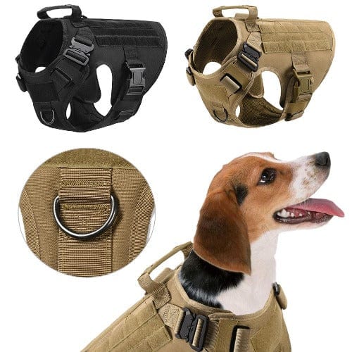 Dog Tactical Collar 1000D Nylon Metal Buckle Velcro Adjustable Heavy Duty Dog Collar Military Style Padded Lining Small Medium Large Black | Koossa