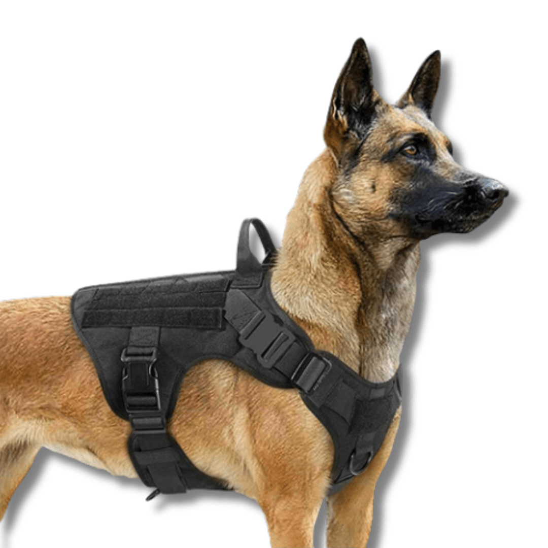 Dog Tactical Collar 1000D Nylon Metal Buckle Velcro Adjustable Heavy Duty Dog Collar Military Style Padded Lining Small Medium Large Black | Koossa