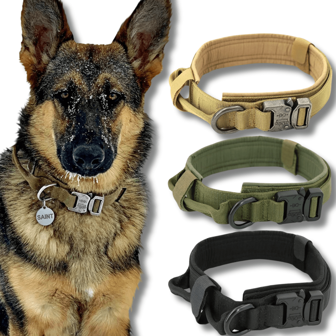 Tactical Dog Collar 1000D Nylon Padded Metal Buckle Control Handle M L XL Training Collar German Shepherd Large Dog | Koossa
