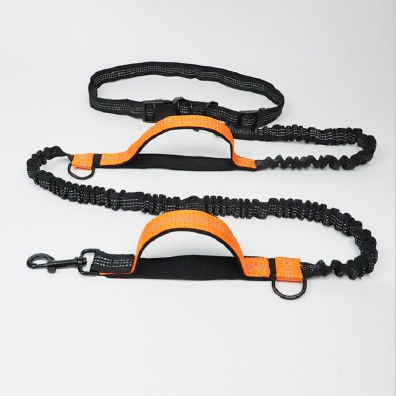 Hands-Free Dog Running Leash Waist Belt Elastic Shock Absorbing Reflective 160–260cm Jogging Walking Hiking Lead | Koossa