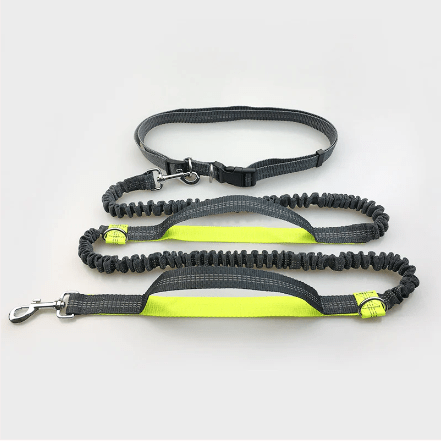 Hands-Free Dog Running Leash Waist Belt Elastic Shock Absorbing Reflective 160–260cm Jogging Walking Hiking Lead | Koossa