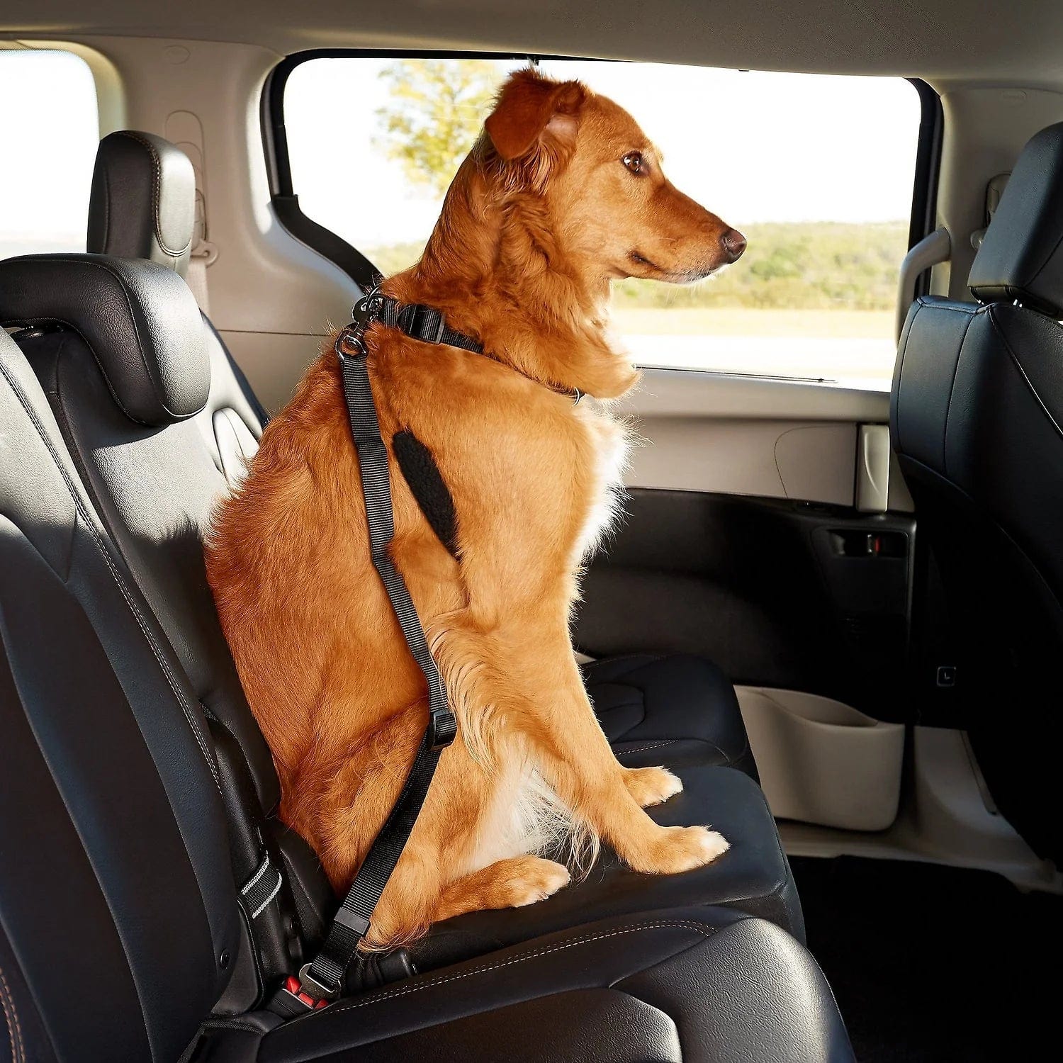 Dog Car Seat Belt Nylon Adjustable 45–76cm Zinc Alloy Swivel Clip Harness Attachment Safety Travel Lead Cat Dog | Koossa
