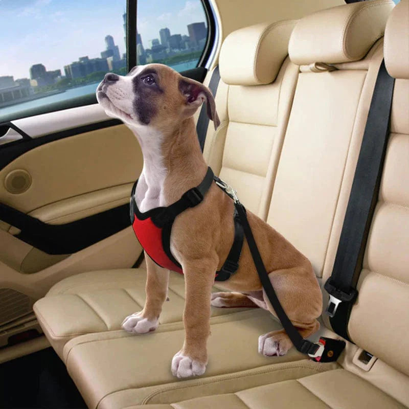 Dog Car Seat Belt Nylon Adjustable 45–76cm Zinc Alloy Swivel Clip Harness Attachment Safety Travel Lead Cat Dog | Koossa