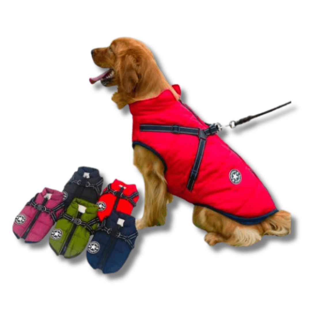 Dog Jacket Waterproof Insulated Built-In Harness Padded Winter Coat Reflective Large Medium Small Dog Windproof Outdoor Vest | Koossa