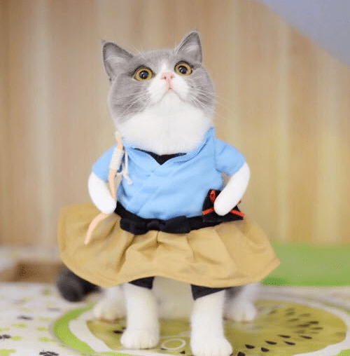 Dog Halloween Costume Novelty Dress-Up S–XL Doctor Nurse Pilot Captain Guitarist Cat Dog Funny Pet Outfit | Koossa