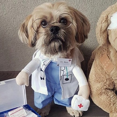 Dog Halloween Costume Novelty Dress-Up S–XL Doctor Nurse Pilot Captain Guitarist Cat Dog Funny Pet Outfit | Koossa