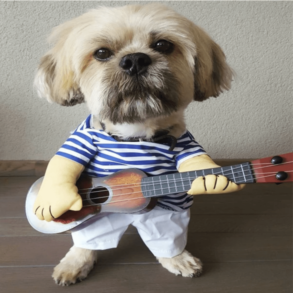 Dog Halloween Costume Novelty Dress-Up S–XL Doctor Nurse Pilot Captain Guitarist Cat Dog Funny Pet Outfit | Koossa