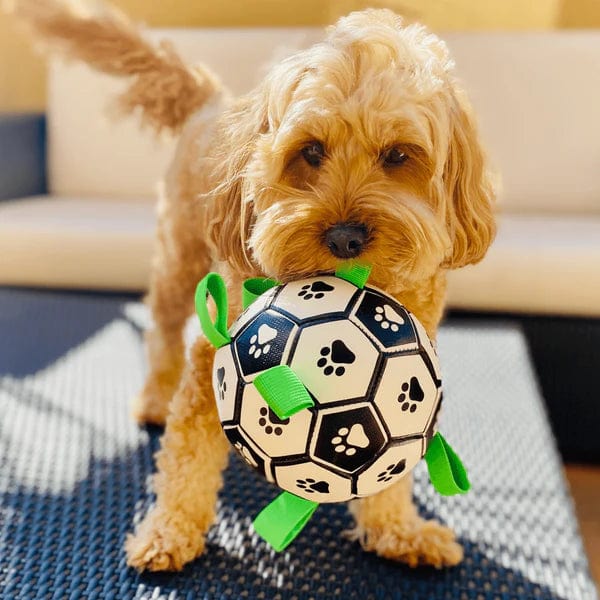 Dog Football Floating Nylon Grab Tabs Inflatable Paw Print Pool Beach Lake Fetch Toy Interactive Outdoor Dog Ball | Koossa