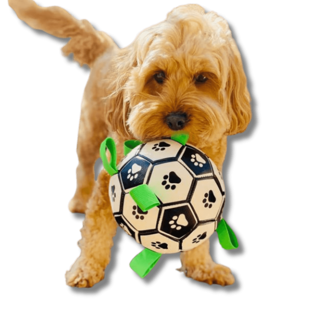 Dog Football Floating Nylon Grab Tabs Inflatable Paw Print Pool Beach Lake Fetch Toy Interactive Outdoor Dog Ball | Koossa