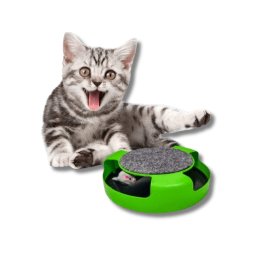 Cat Spinning Mouse Toy Scratch Pad 25cm No Battery Interactive Hunt Toy Kitten Scratcher Chase Toy Indoor | Koossa