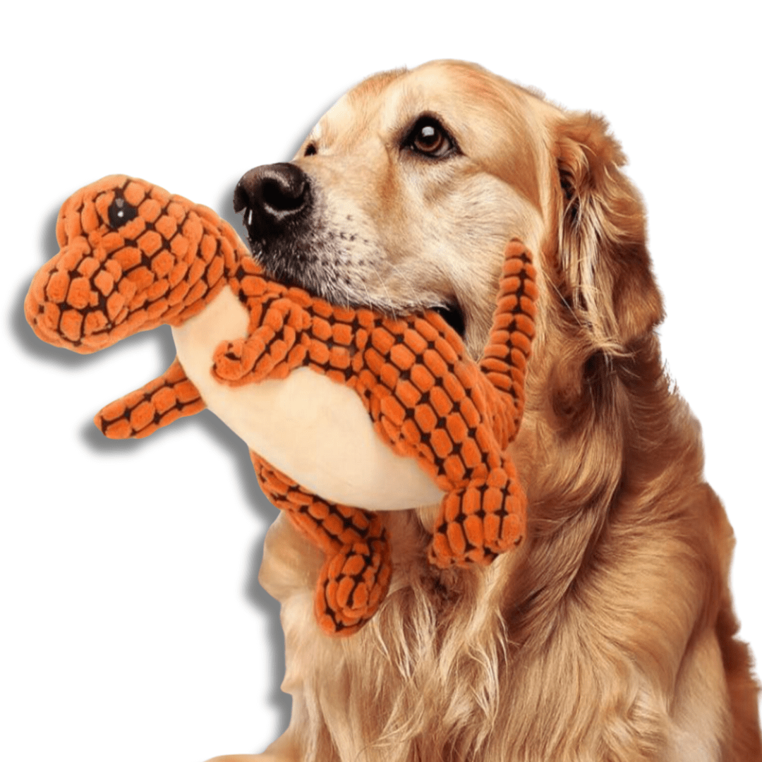 Dog Squeaky Dinosaur Toy Corduroy Plush Non-Toxic Chew Fetch Indoor Dino Dog Toy Small Medium Large Multiple Colours | Koossa