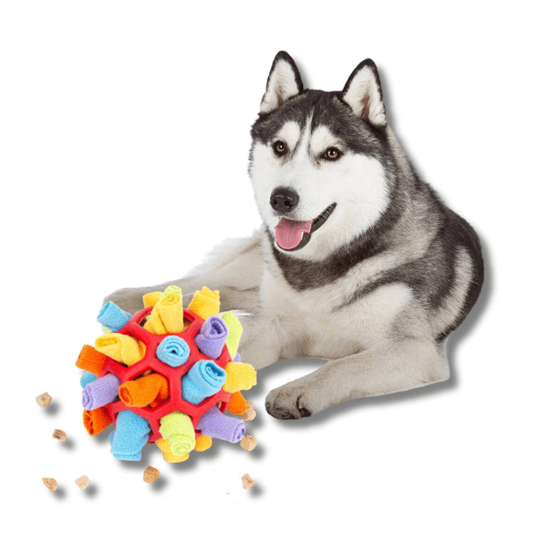 Dog Snuffle Ball Fleece Rubber Treat Puzzle Toy Interactive Nose Work Mental Stimulation Anxiety Relief Indoor | Koossa