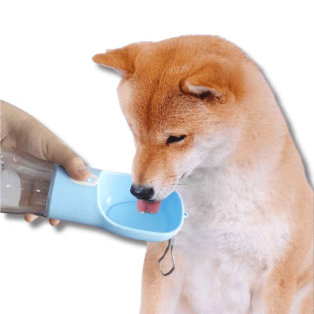 Dog Water Bottle Portable 2-in-1 Snack Dispenser Leak-Proof BPA-Free Travel Dog Water Bottle Foldable Bowl Walking Hiking Outdoor | Koossa