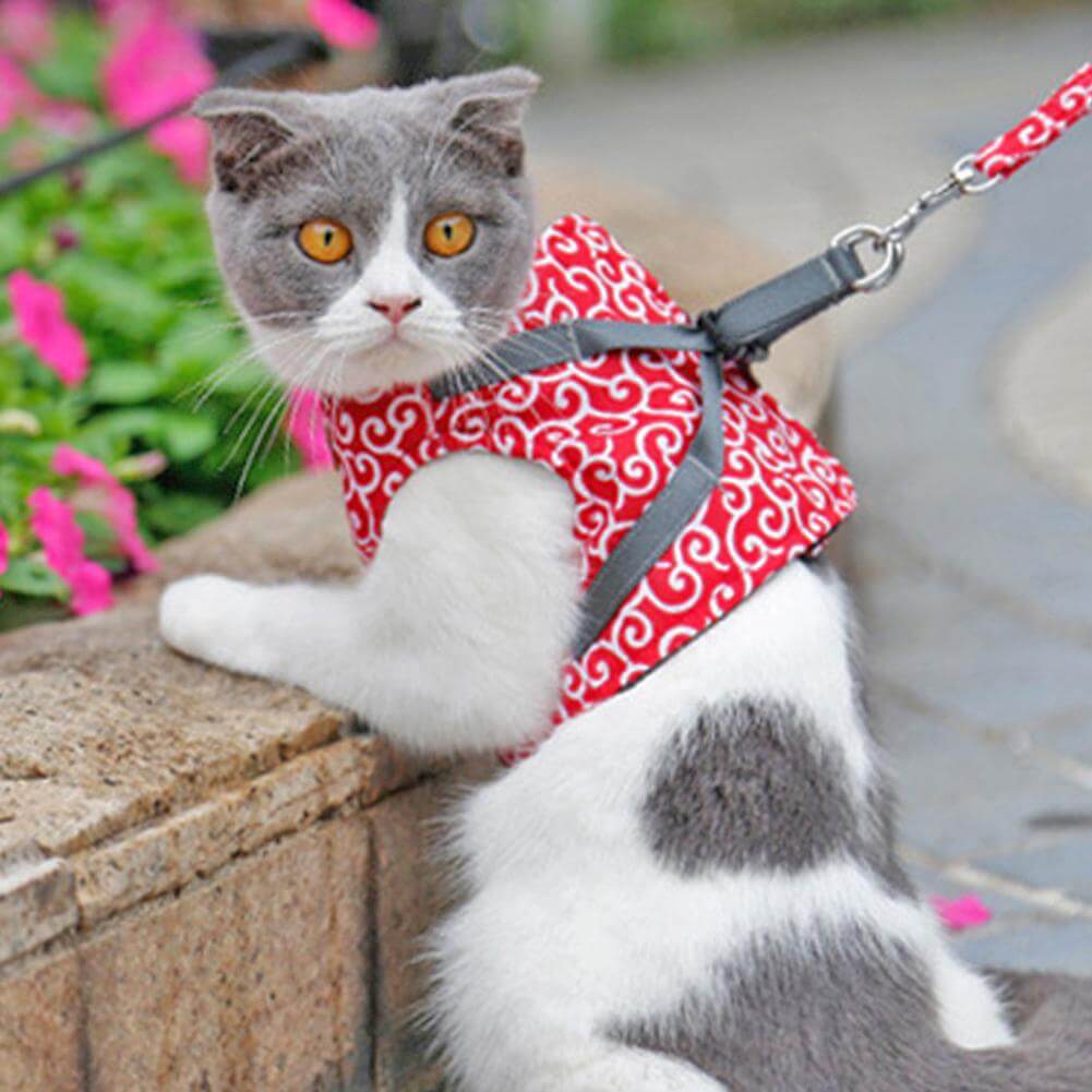 Cat Harness Vest Mesh Escape-Proof Adjustable Small Kitten Lead Set Outdoor Walking Leash | Koossa