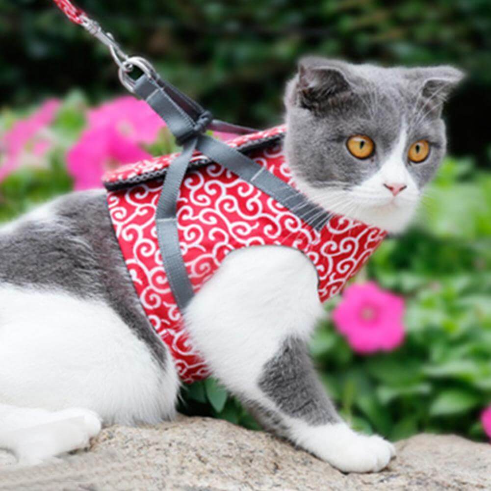 Cat Harness Vest Mesh Escape-Proof Adjustable Small Kitten Lead Set Outdoor Walking Leash | Koossa