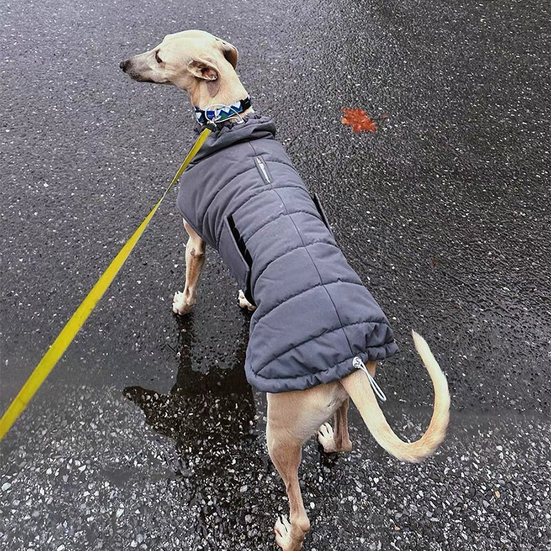 Dog Padded Jacket Vest Polyester Windproof Waterproof S to XL Whippet Greyhound Winter Coat Zip Button | Koossa
