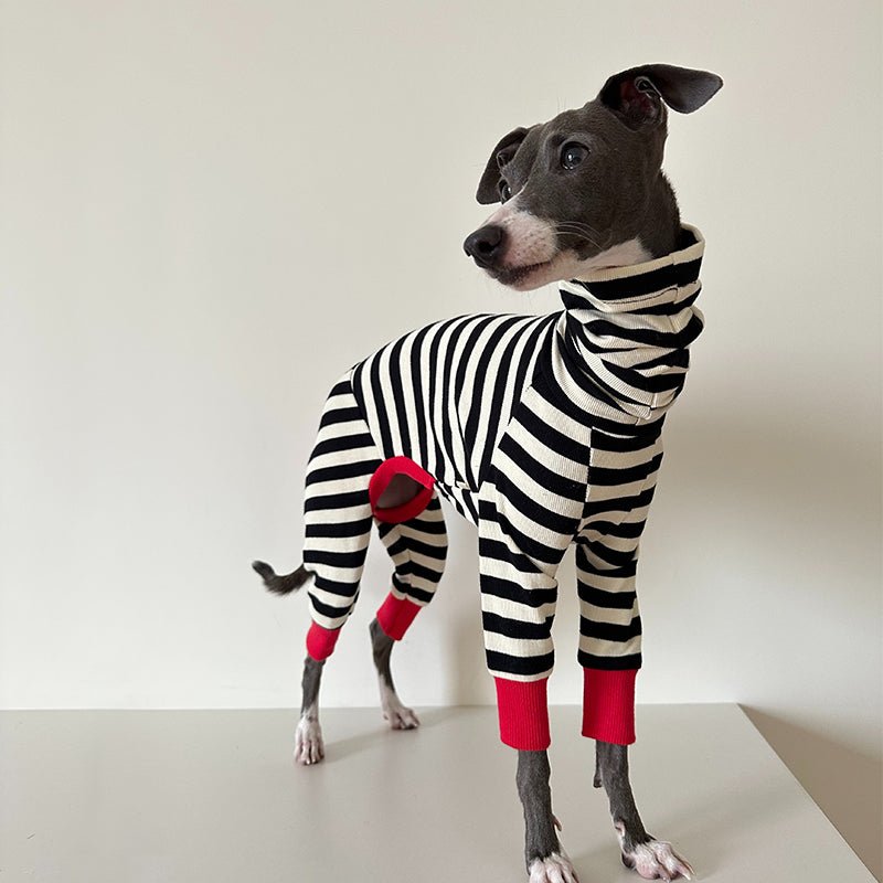 Dog Cotton Onesie Striped Pure Cotton Whippet Greyhound Sizes 1–10 Four-Leg Jumpsuit Iggy Outfit | Koossa