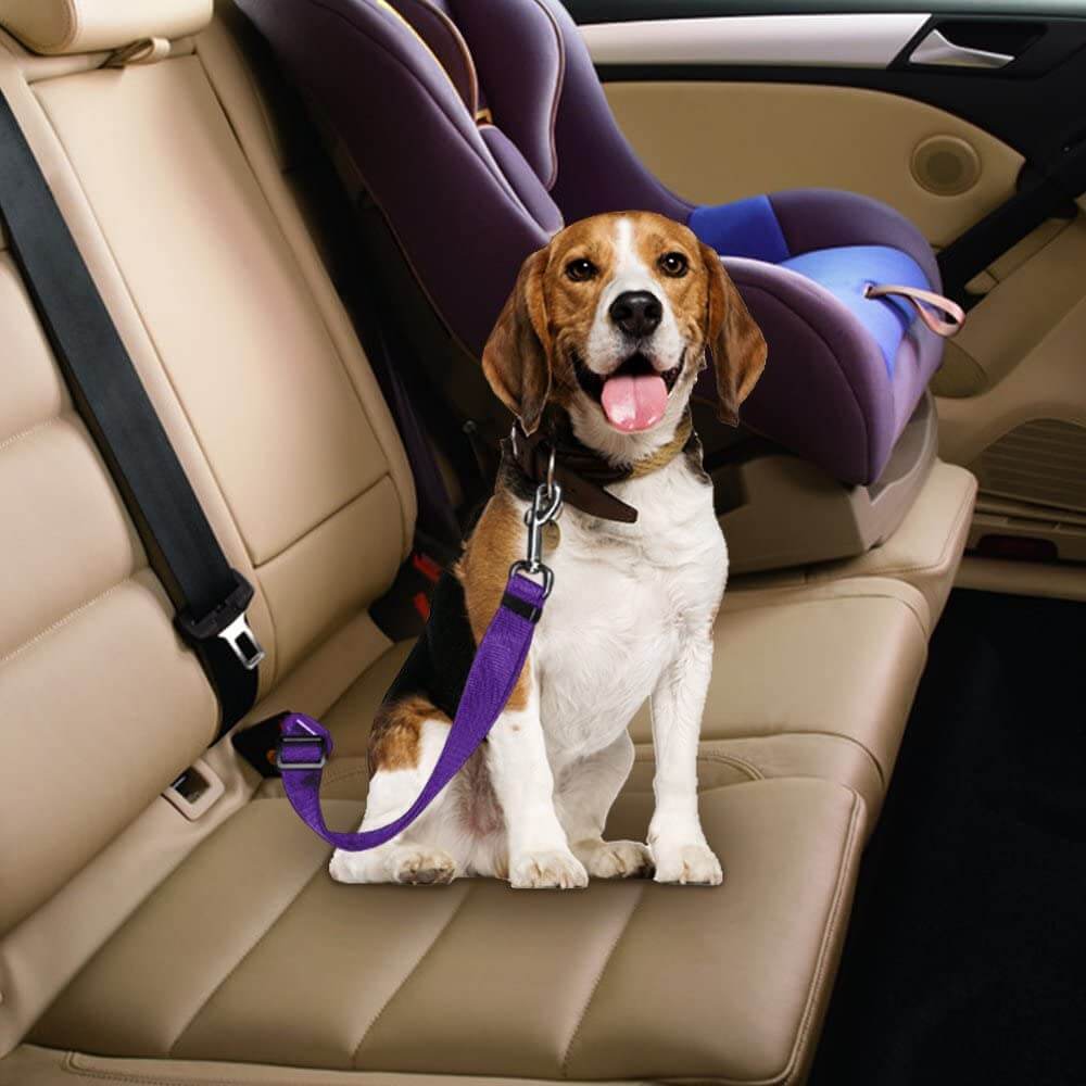 Dog Car Seatbelt Adjustable Nylon 2-in-1 Lead Clip Safety Harness Restraint Travel Strap Universal Fit Vehicle | Koossa