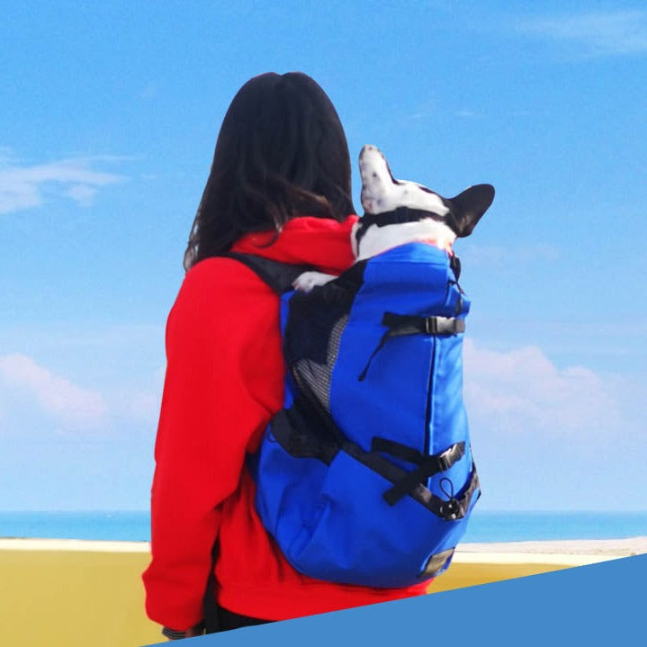 Dog Carrier Backpack Breathable Mesh French Bulldog Travel Rucksack Padded Straps Reinforced Base Anti-Scratch Ventilated Hands-Free | Koossa