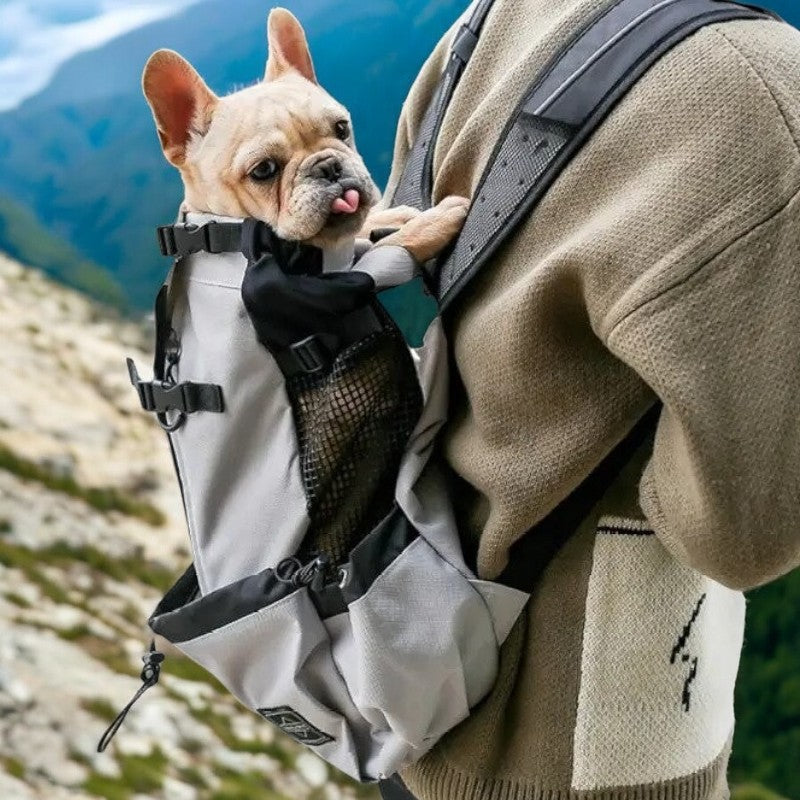 Dog Carrier Backpack Breathable Mesh French Bulldog Travel Rucksack Padded Straps Reinforced Base Anti-Scratch Ventilated Hands-Free | Koossa