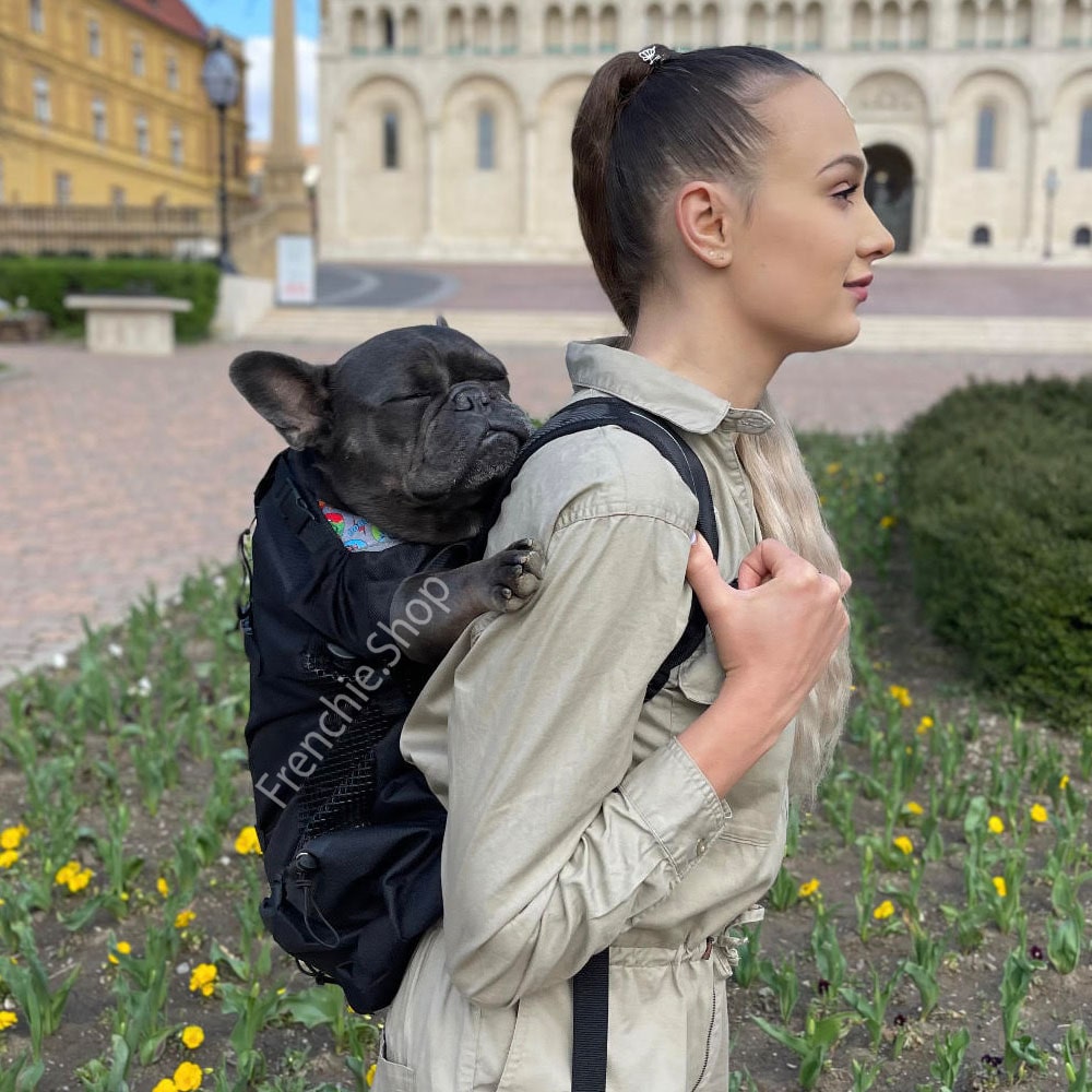 Dog Carrier Backpack Breathable Mesh French Bulldog Travel Rucksack Padded Straps Reinforced Base Anti-Scratch Ventilated Hands-Free | Koossa