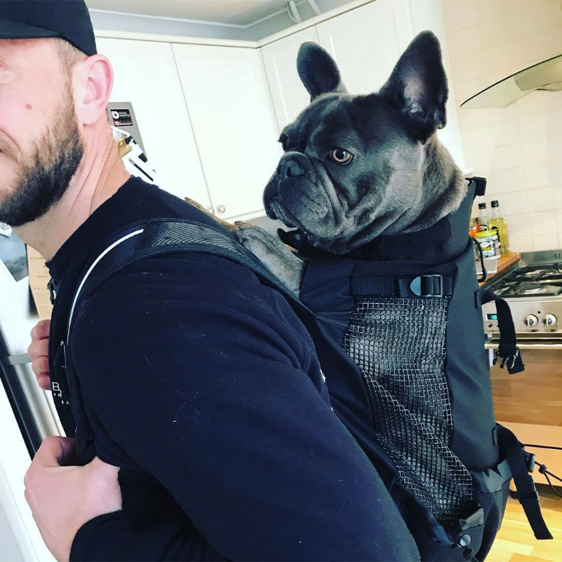 Dog Carrier Backpack Breathable Mesh French Bulldog Travel Rucksack Padded Straps Reinforced Base Anti-Scratch Ventilated Hands-Free | Koossa