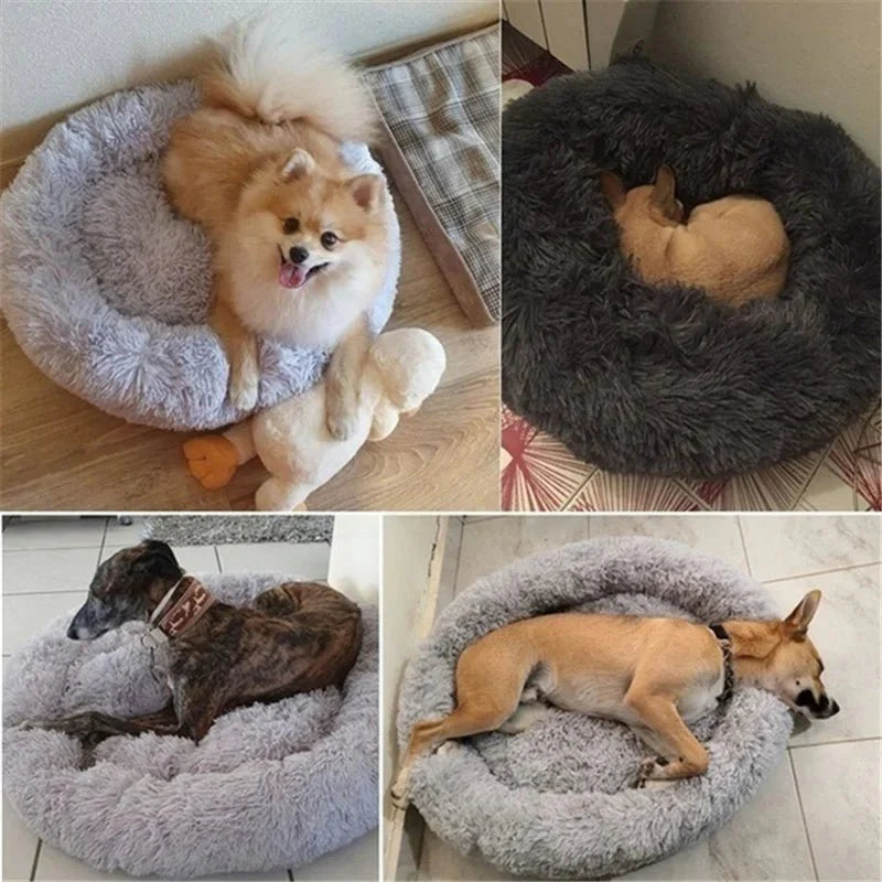 Dog Donut Bed Plush Self-Warming Raised Rim S–3XL 40–100cm Joint Support Calming Cat Dog Round Nest Bed Washable | Koossa