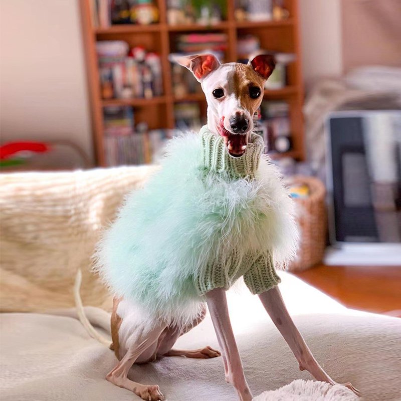 Dog Faux Fur Sweater 100% Polyester Stretchy Italian Greyhound Whippet Fluffy Coat Plush Dog Jumper Slim Breed S–XL Pink Blue Purple Green | Koossa
