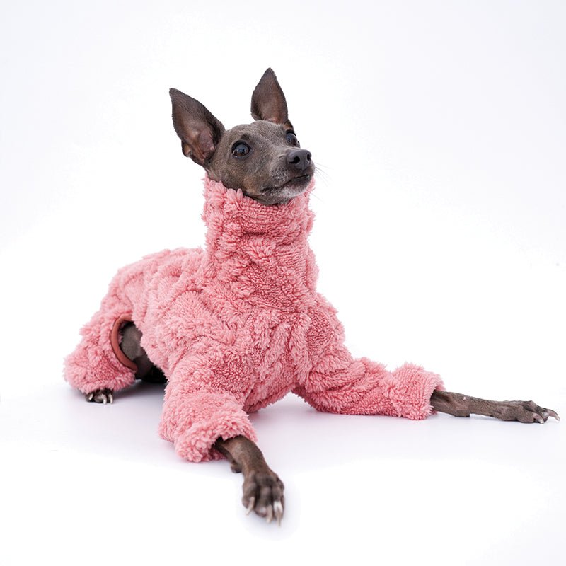 Dog Fleece Jumpsuit Polar Plush Teddy Full Body Suit Italian Greyhound Whippet Onesie Warm Winter Dog Coat XS–XXL | Koossa