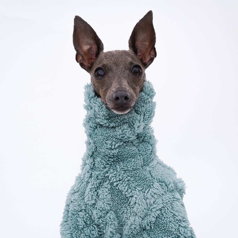 Dog Fleece Jumpsuit Polar Plush Teddy Full Body Suit Italian Greyhound Whippet Onesie Warm Winter Dog Coat XS–XXL | Koossa