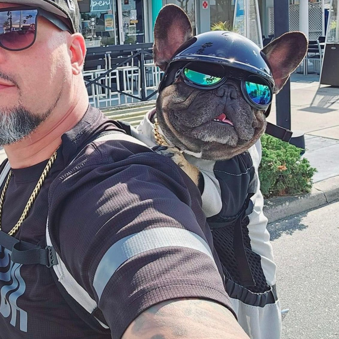 Dog Carrier Backpack Breathable Mesh French Bulldog Travel Rucksack Padded Straps Reinforced Base Anti-Scratch Ventilated Hands-Free | Koossa