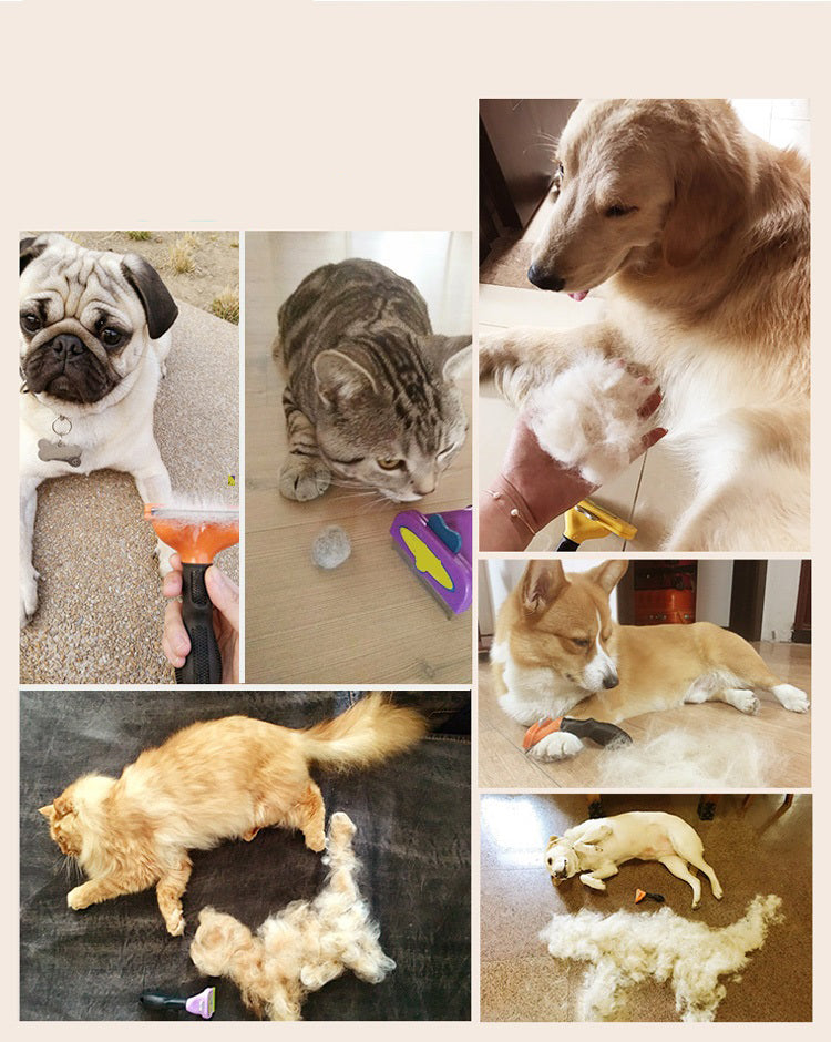 Dog Deshedding Brush Self-Cleaning Button French Bulldog Short Coat Grooming Tool Ergonomic Handle Shedding Remover Fur Comb | Koossa