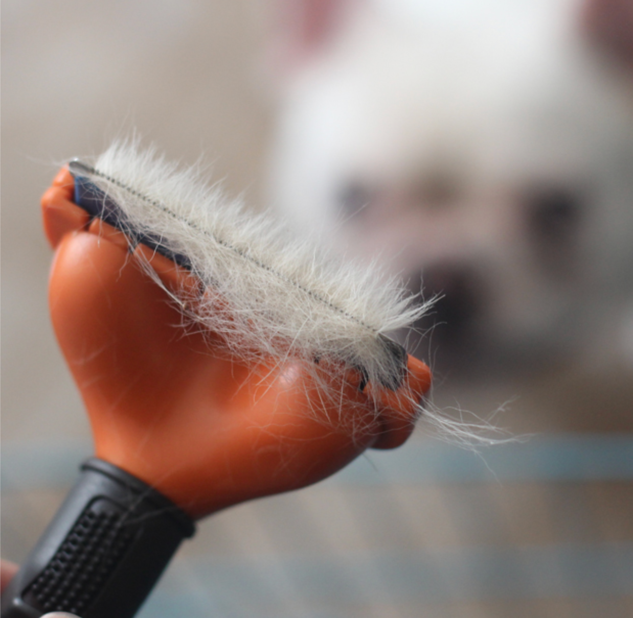 Dog Deshedding Brush Self-Cleaning Button French Bulldog Short Coat Grooming Tool Ergonomic Handle Shedding Remover Fur Comb | Koossa