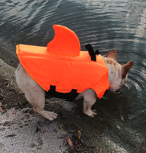 Dog Life Jacket Shark Fin Buoyant Diving Fabric French Bulldog Swim Vest Quick-Release Buckle Grab Handle D-Ring Water Safety | Koossa