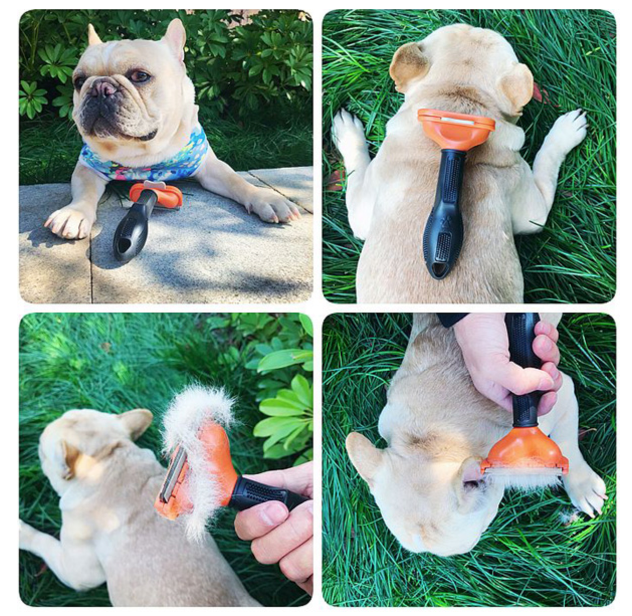 Dog Deshedding Brush Self-Cleaning Button French Bulldog Short Coat Grooming Tool Ergonomic Handle Shedding Remover Fur Comb | Koossa